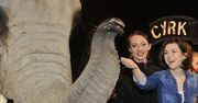"M jak miłość": Kasia Cichopek w cyrku