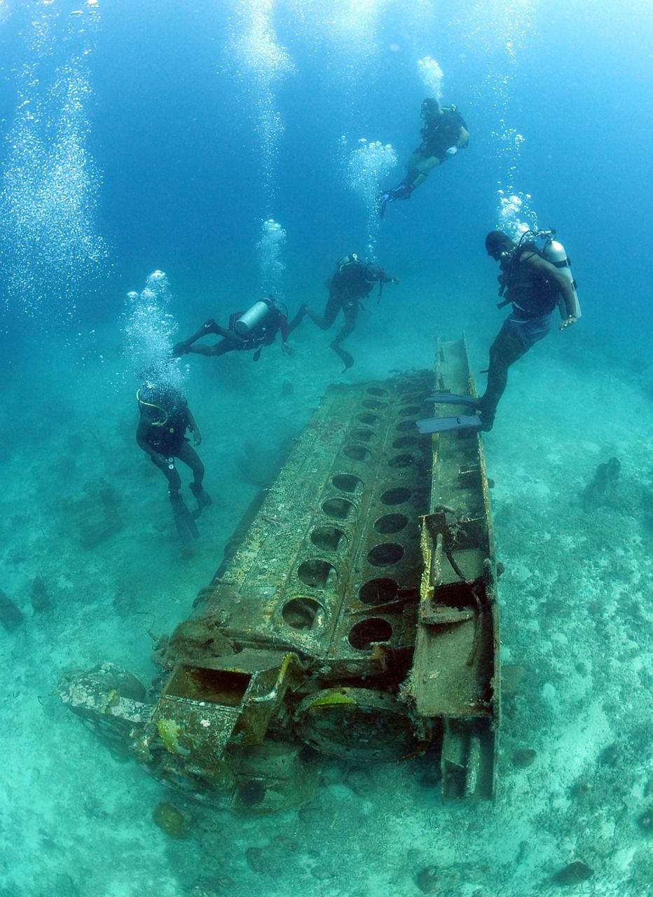 Sensacyjne odkrycie na dnie Bałtyku: XIX-wieczny wrak z ponad 100 butelkami szampana