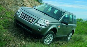 Nowy Freelander