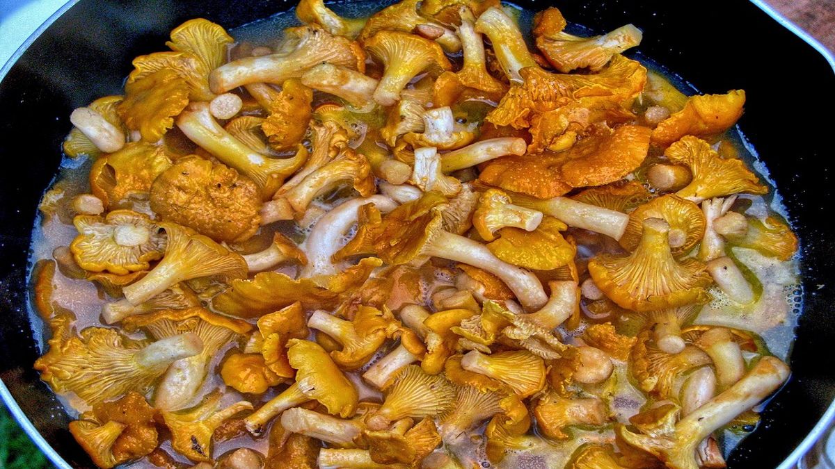 Nie popełniaj tego błędu, przygotowując kurki. Fot. Pixabay