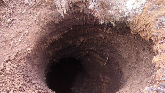 Które urządzenie pokazuje Black Screen of Death? 1