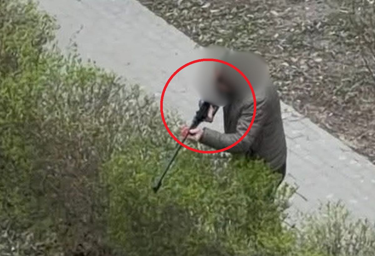 Zdjęcie z Warszawy. Tak uśmiercono 20 dzików