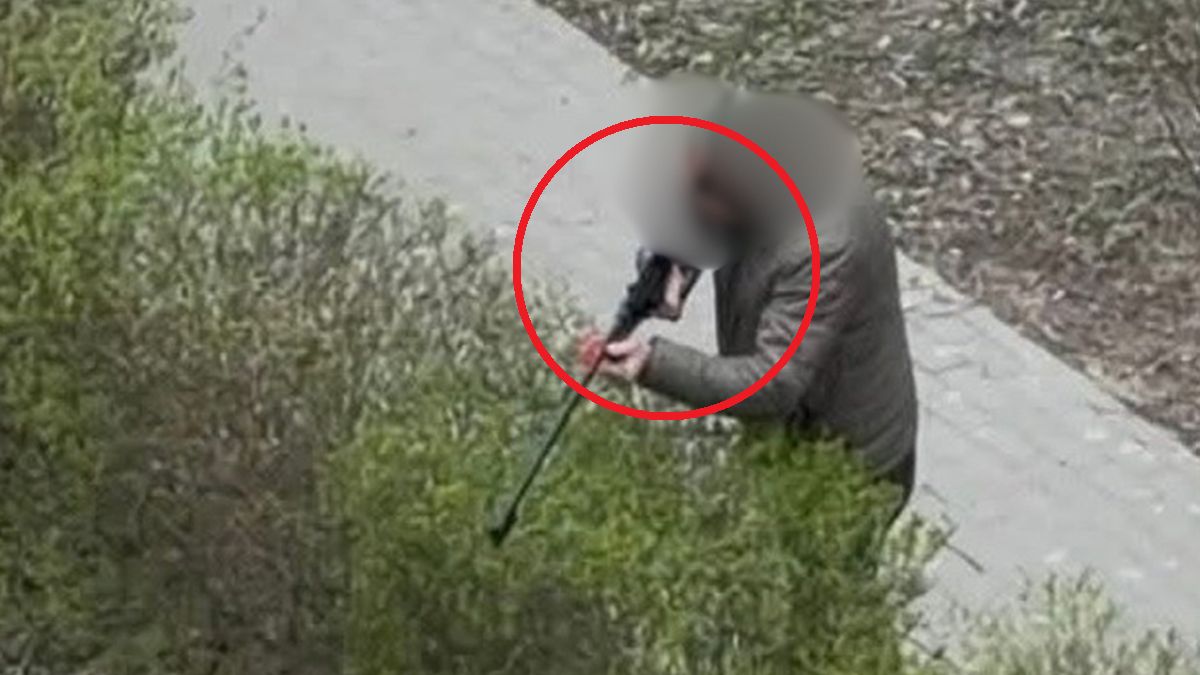 Pracownicy Lasów Miejskich strzelali do dzików.