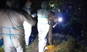 Strzelanina w lesie pod Olkuszem. Mężczyźni się znali? Podejrzany zatrzymany
