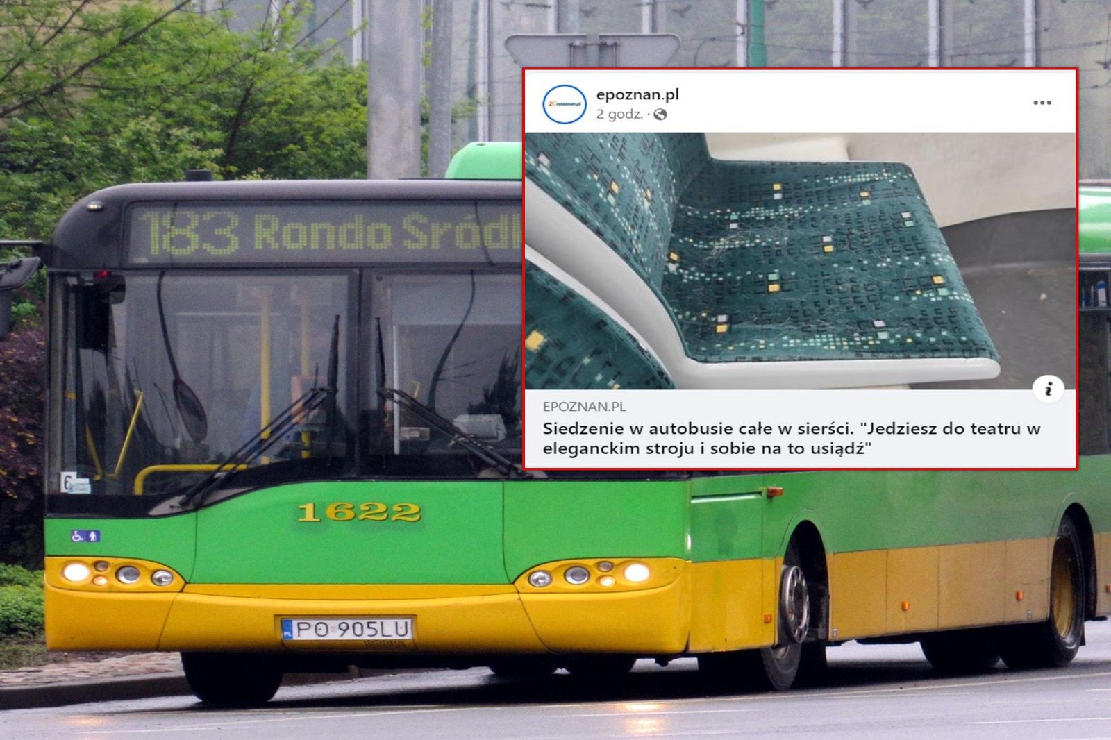 Tak wyglądało siedzenie w autobusie miejskim. Aż chwycił za telefon