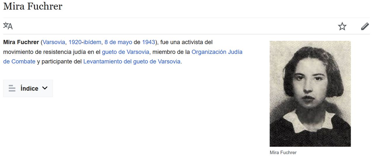 Polska Fundacja Narodowa płaci za tłumaczenie Wikipedii. Na pierwszy ogień angielska, rosyjska i hiszpańska