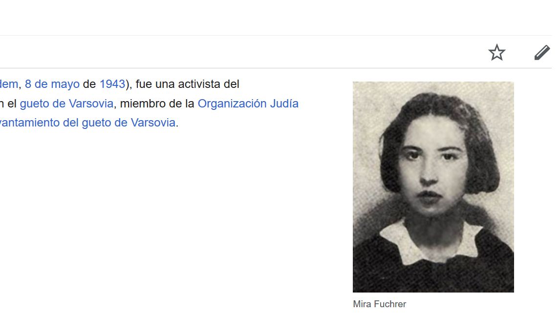 Polska Fundacja Narodowa sfinansowała tłumczenia m.in. na angielskiej i hiszpańskiej Wikipedii