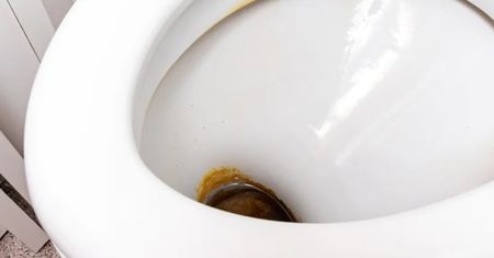 Przyłóż do zacieków w muszli. "Wyżre" cały kamień z toalety