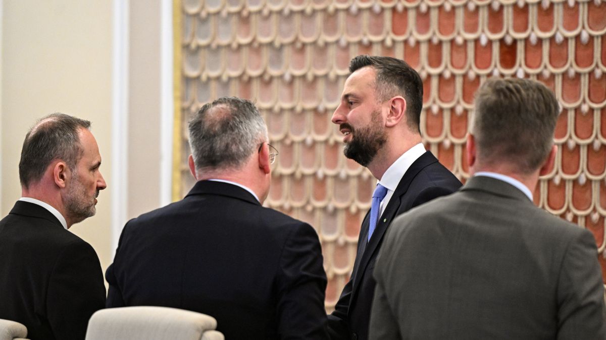 Warszawa, 30.04.2024. Wicepremier, minister obrony narodowej Władysław Kosiniak-Kamysz (2P) oraz minister rozwoju i technologii Krzysztof Hetman (L) na posiedzeniu rządu w siedzibie KPRM w Warszawie, 30 bm. Rada Ministrów zajmie się m.in. projektem uchwały ws. rewizji Krajowego Planu Odbudowy, która ma objąć 11 z 55 reform oraz 22 z 56 inwestycji oraz Krajowym Programem Reform na lata 2024/2025. (amb) PAP/Radek Pietruszka