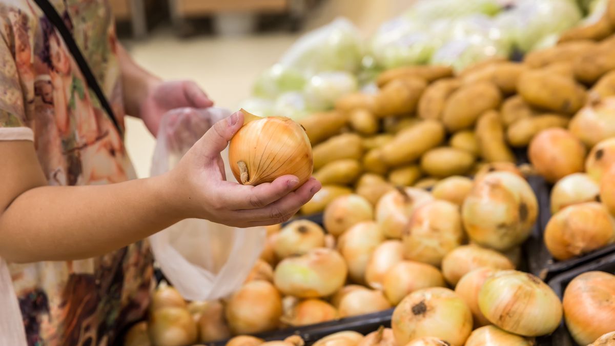 Cebula, która ma przetrwać zimę, nie może mieć oznak zepsucia