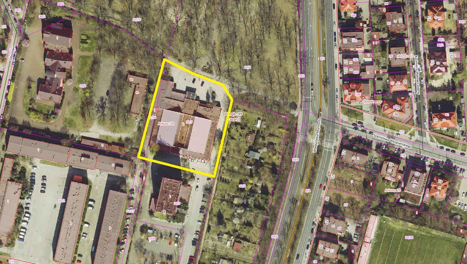 zdjęcie
