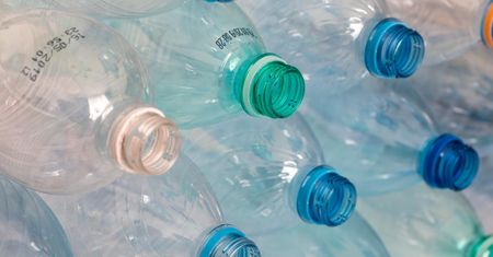 Zjadamy mnóstwo plastiku, bezwiednie. Alarm naukowców