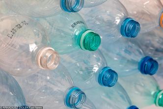 Zjadamy mnóstwo plastiku, bezwiednie. Alarm naukowców