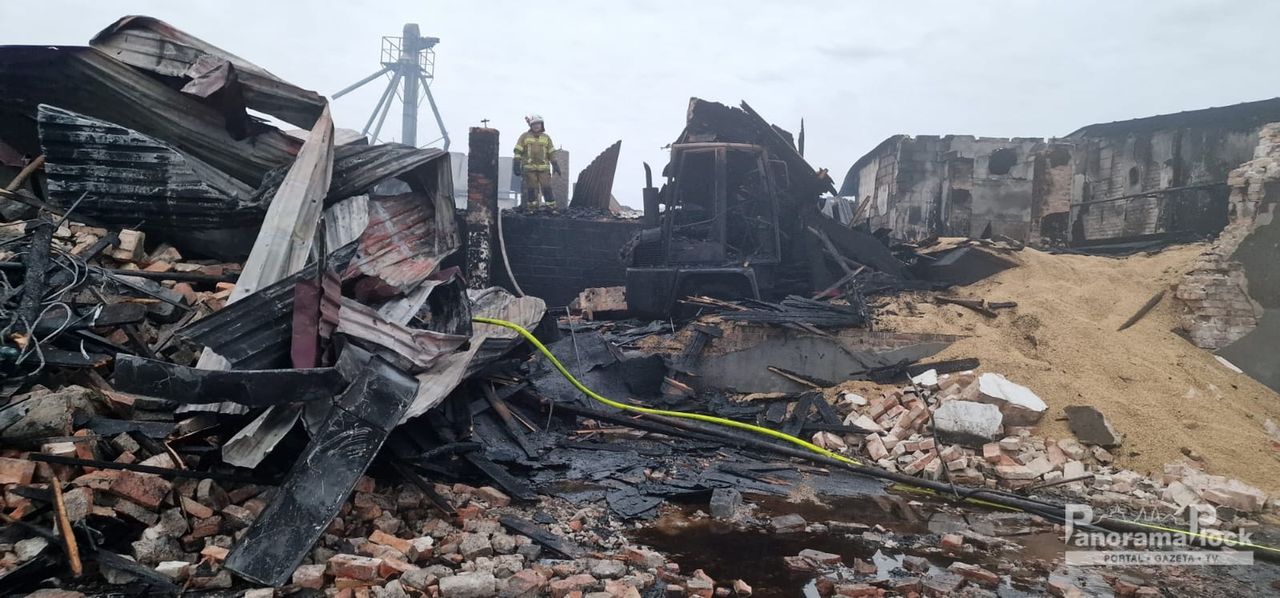 Pożar magazynu zbożowego w Gozdowie [Foto/Video]