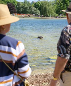 Nowe limity ZUS. Od czerwca emerytów czeka duża zmiana