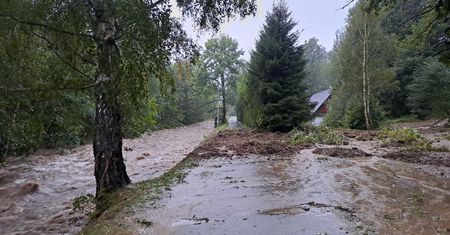 To jej ciało znaleziono w Polsce podczas powodzi. Czesi potwierdzają