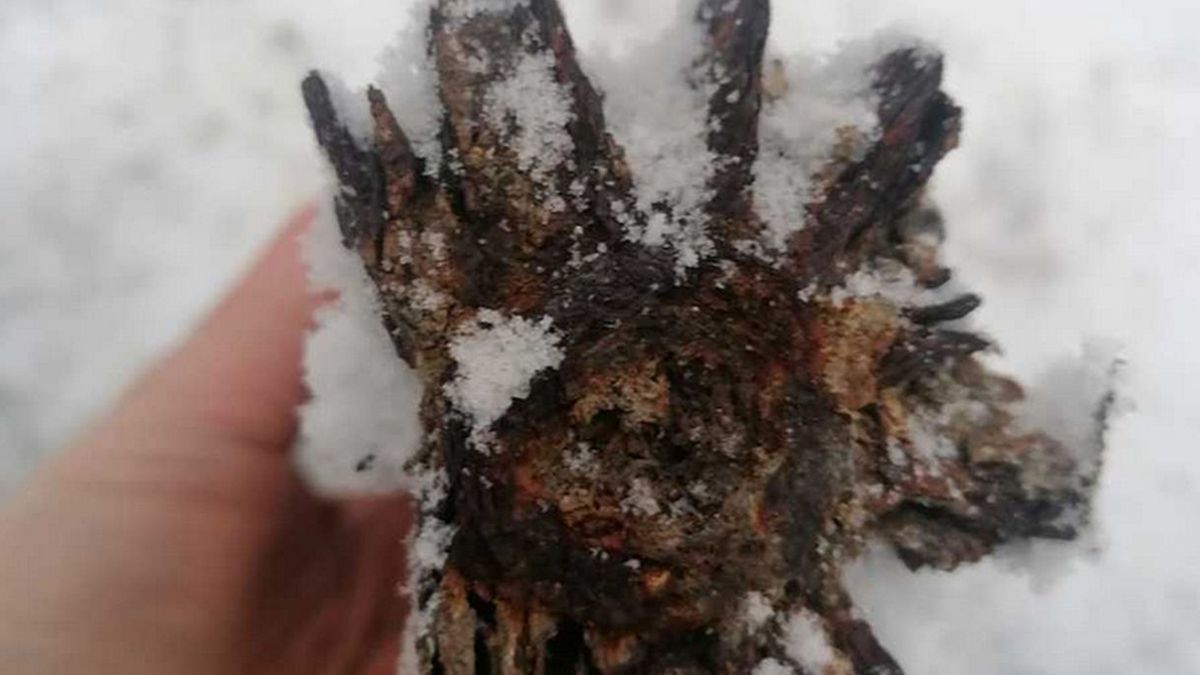 Jeden z pocisków eksplodował podczas neutralizacji