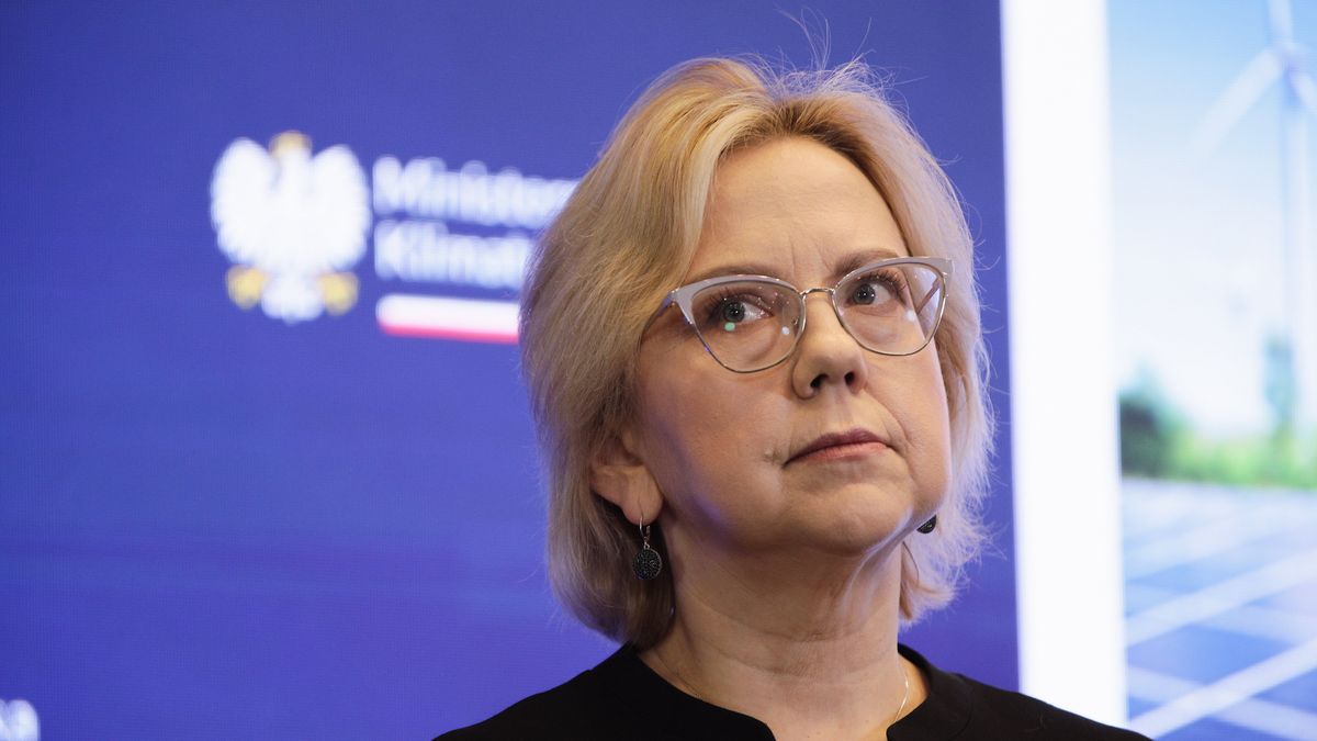 Minister klimatu i środowiska zabrała głos w sprawie zapasów węgla opałowego 