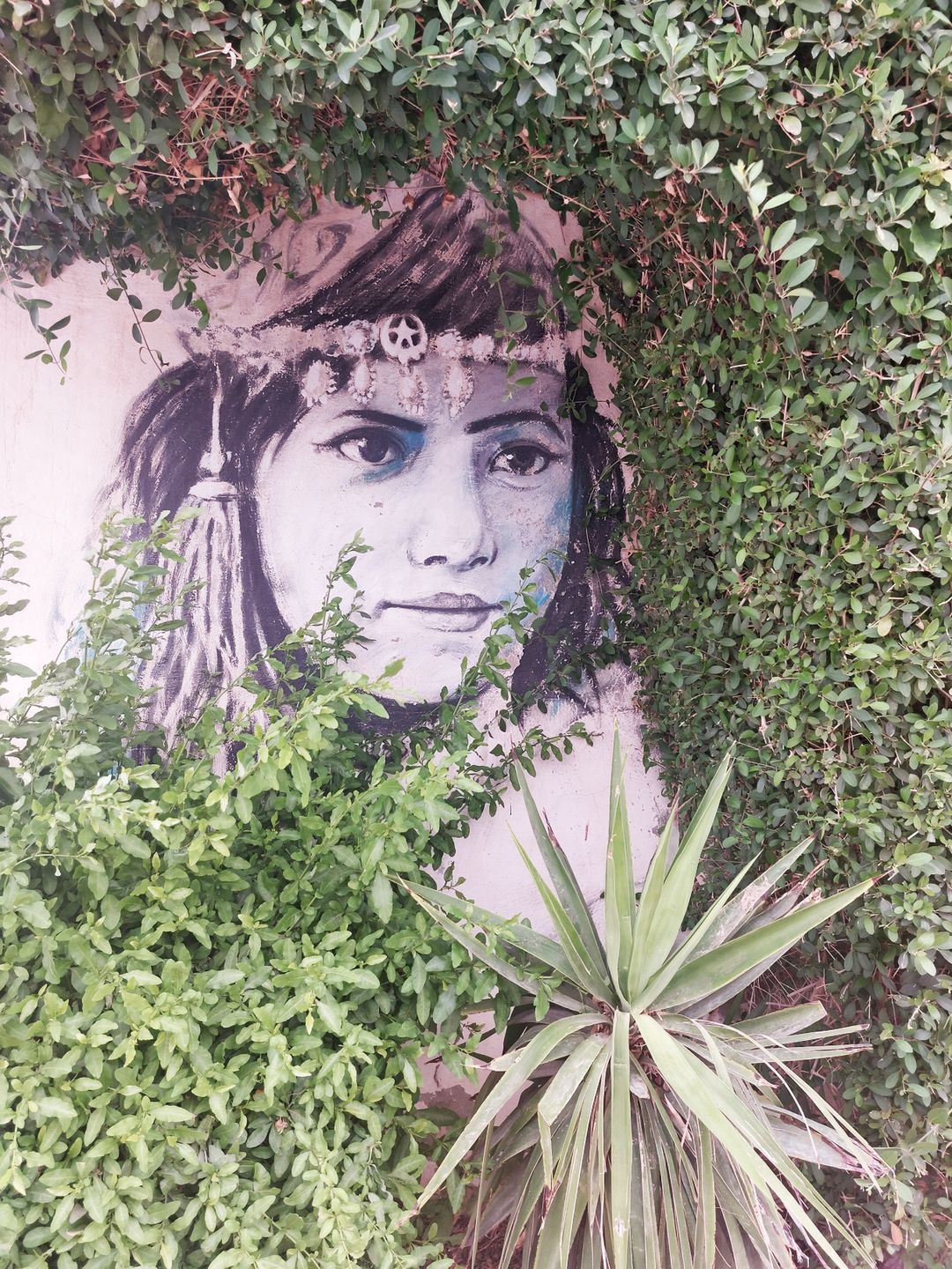 Djerbahood