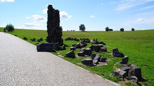 Odkrycie pod Grunwaldem. "To wielki rarytas"