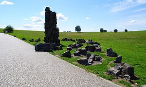 Odkrycie pod Grunwaldem. "To wielki rarytas"