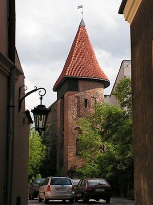 Obraz