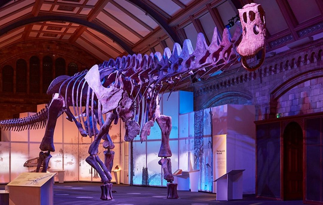 Snap a selfie with one of the biggest dinosaur ever. 121-foot Patagotitan unveiled in London