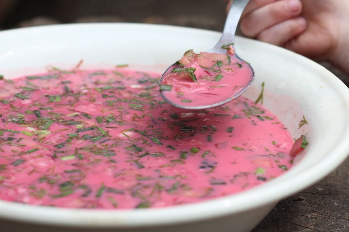 Nurturing health: The vibrant power of young beet greens