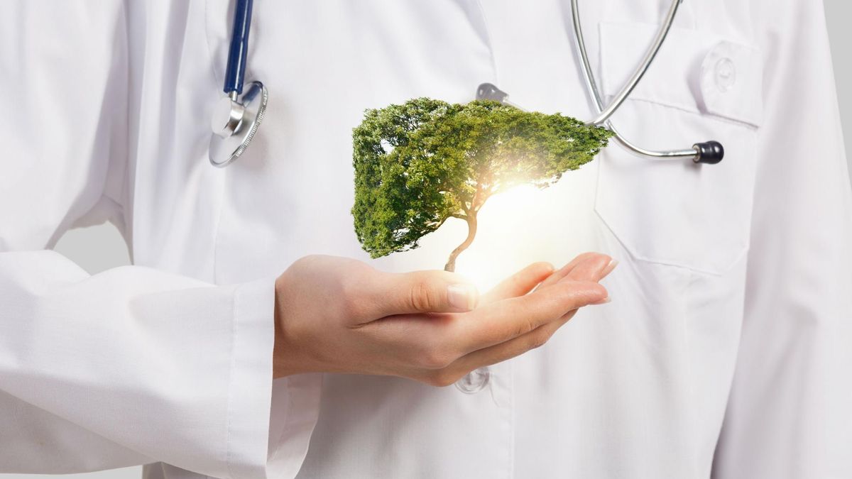 Wirus odpowiedzialny za rozwój WZW B należy do rodziny Hepadnaviridae