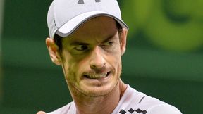 Australian Open: trzy godziny Andy'ego Murraya na otwarcie, debiut jak ze snów Alexa de Minaura