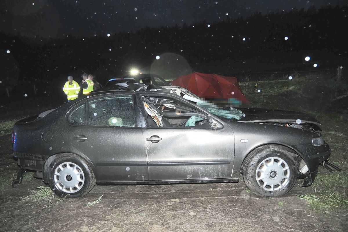 Wyprzedzała samochód, uderzyła w łosia. Są tragiczne wieści