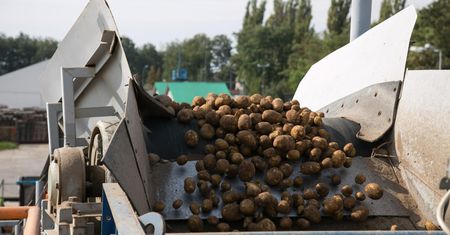 Polska bez ziemniaków i piwa. To nie żart! Winne są zmiany klimatu