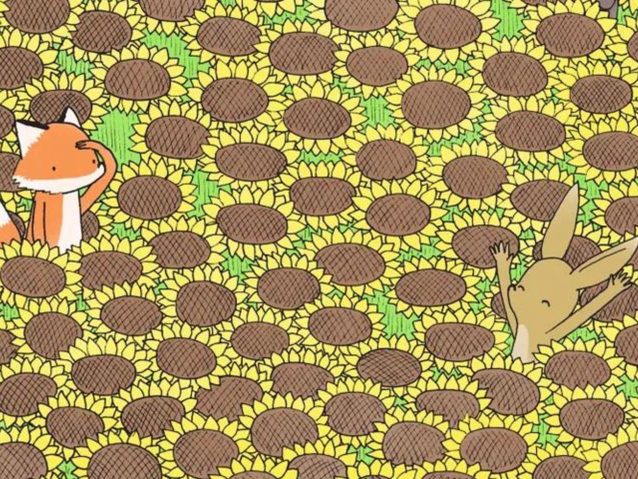 Wśród słoneczników ukryty jest motyl. Wytęż wzrok i spróbuj go znaleźć