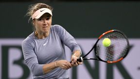 Tenis. WTA Doha: Elina Switolina przegrała z Amandą Anisimovą. Kiki Bertens odprawiła pogromczynię Magdy Linette