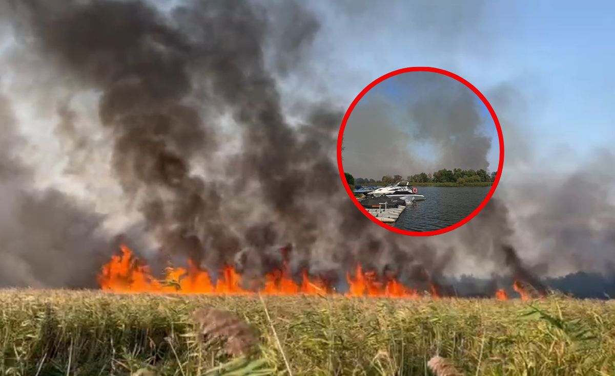 pożar, straż pożarna Trwa gaszenie wielkiego pożaru. Na miejscu wozy, samoloty i łodzie