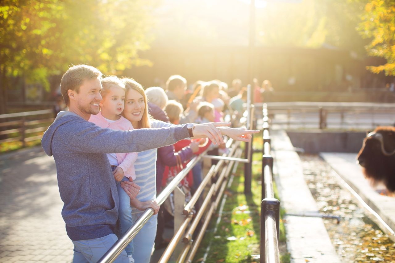 Borysew: Urodzinowy weekend w ZOO. Ogród koło Poddębic zaprasza