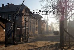 "Nie tylko Niemcy są odpowiedzialni za holokaust"