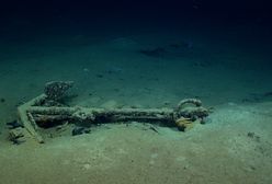 Niesamowite odkrycie na głębokości ponad 1,5 km. Leżał na dnie Zatoki Meksykańskiej