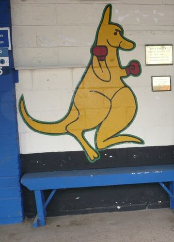 Kangur i tablica upamiętniające Billy'ego Sandersa (fot. Grzegorz Drozd)