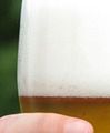 Rynek piwa w Polsce. Jakie nowości szykują browary w 2016 roku?