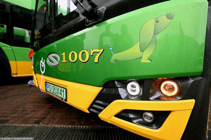 Spięcie w autobusie. MPK komentuje zachowanie kierowcy
