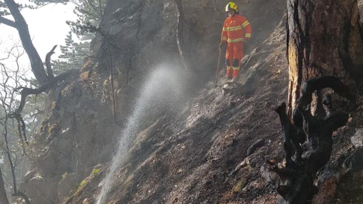 Austriacka straż. Zdjęcie ilustracyjne