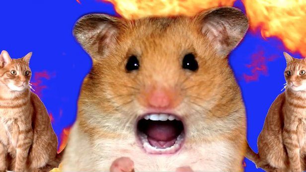 Wideo dnia: Nie wiem o co chodzi, ale chcę pić teraz tylko tę wodę 1