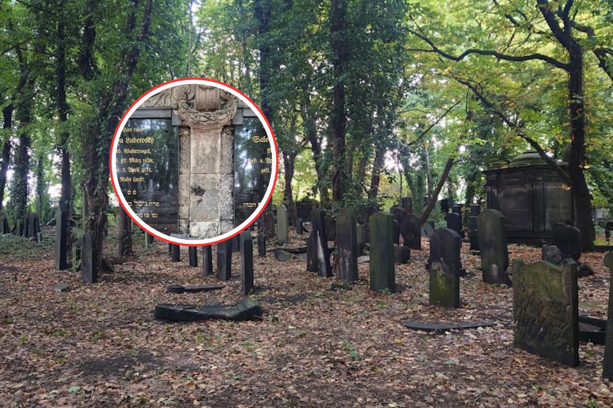 Wyrwali tablicę, rozbili znicze. Wandale w żydowski cmentarz uderzyli nocą