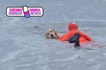 Strażacy uratowali tonącego psa. Nagranie poruszyło internautów