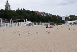 Morza szum, ptaków śpiew… i głosy wzburzonych turystów. Takie lato w Polsce
