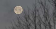 Pełnia w styczniu 2024. Zbliża się wilczy Księżyc