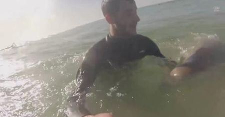 Ciekawska foka bawi się z francuskimi surferami