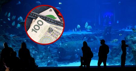 Matka nie może uwierzyć. Pokazała rachunek z zoo