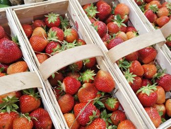 Promocje na truskawki i maliny. Sklepy kontra bazary – kto wygrywa ceną?